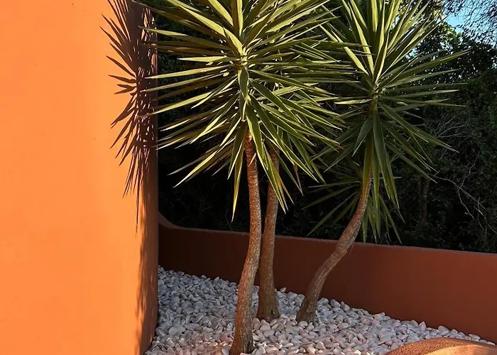 Eco Natura Falcoeira - Da Luz